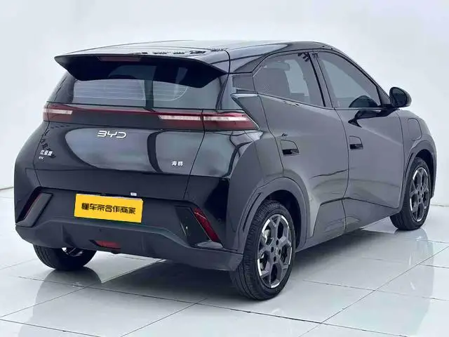 BYD Seagull 2025 Model 305KM Free Edition – фото 6