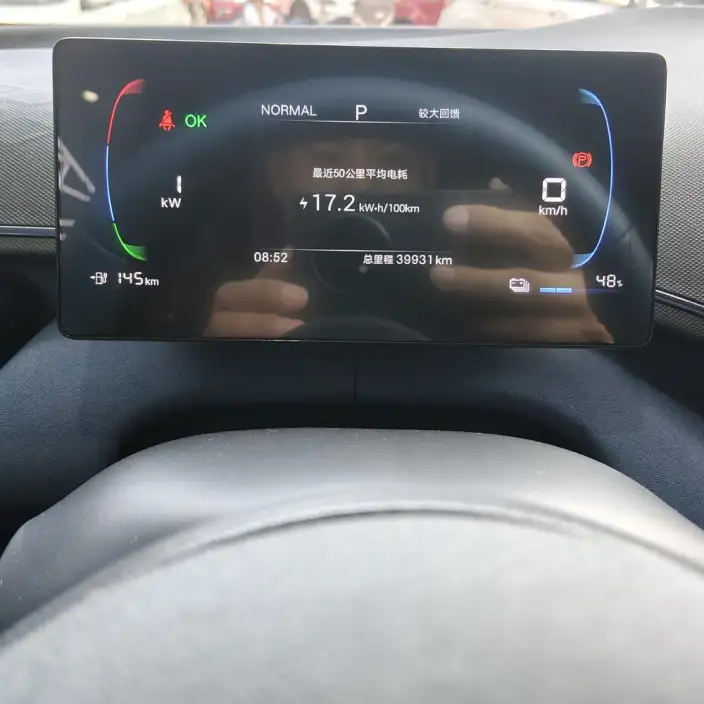 BYD Seagull 2025 Model 305KM Free Edition – фото 8
