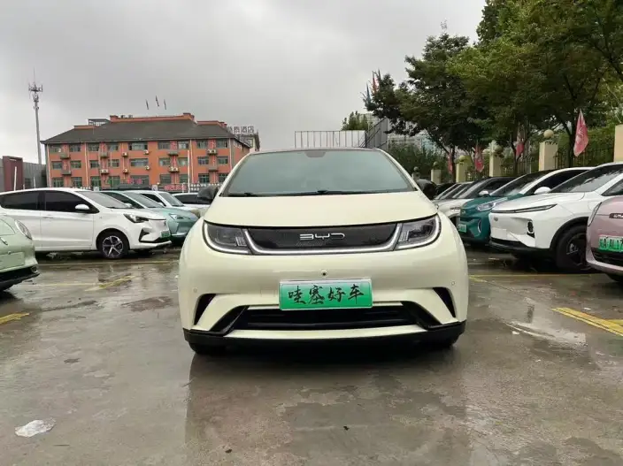 BYD Dolphin 2023 Model Fashion Edition – фото 2