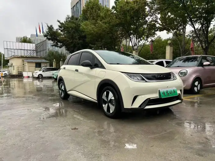 BYD Dolphin 2023 Model Fashion Edition – фото 3