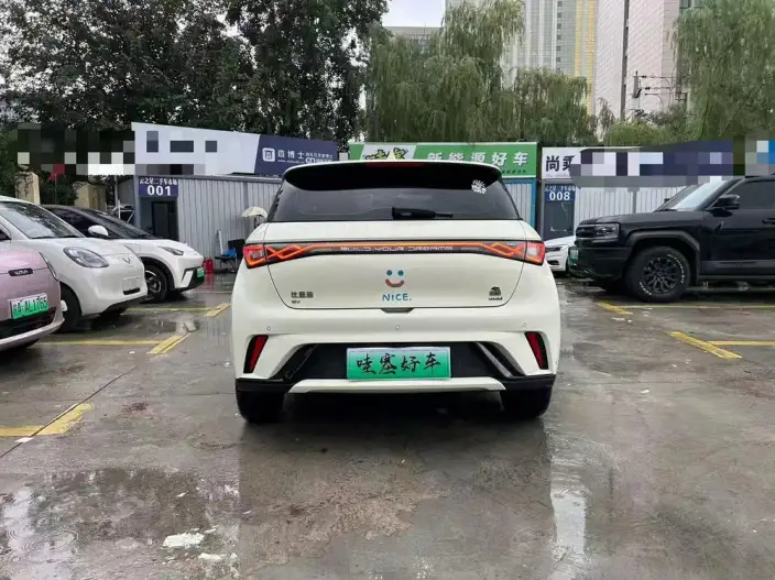 BYD Dolphin 2023 Model Fashion Edition – фото 5