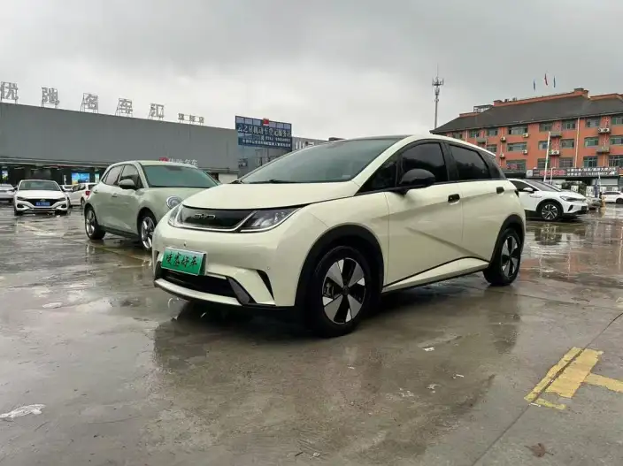 BYD Dolphin 2023 Model Fashion Edition – фото 10