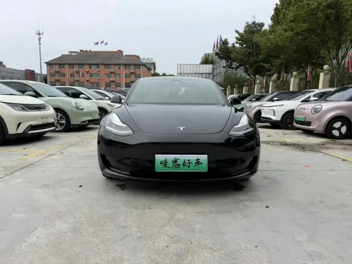Model 3 2020 Model Facelift Standard Battery Life Rear Drive L Class Edition – фото 2
