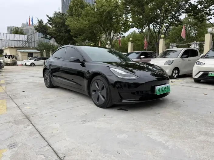 Model 3 2020 Model Facelift Standard Battery Life Rear Drive L Class Edition – фото 3