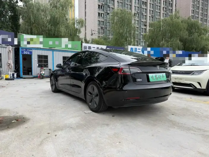 Model 3 2020 Model Facelift Standard Battery Life Rear Drive L Class Edition – фото 4