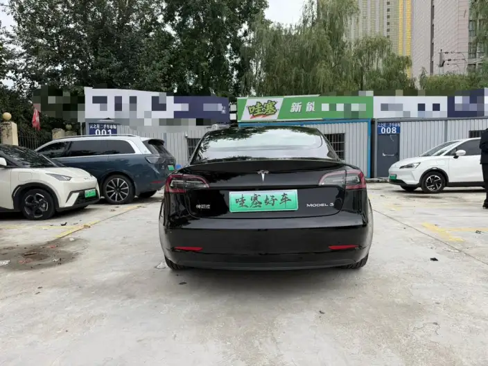 Model 3 2020 Model Facelift Standard Battery Life Rear Drive L Class Edition – фото 5