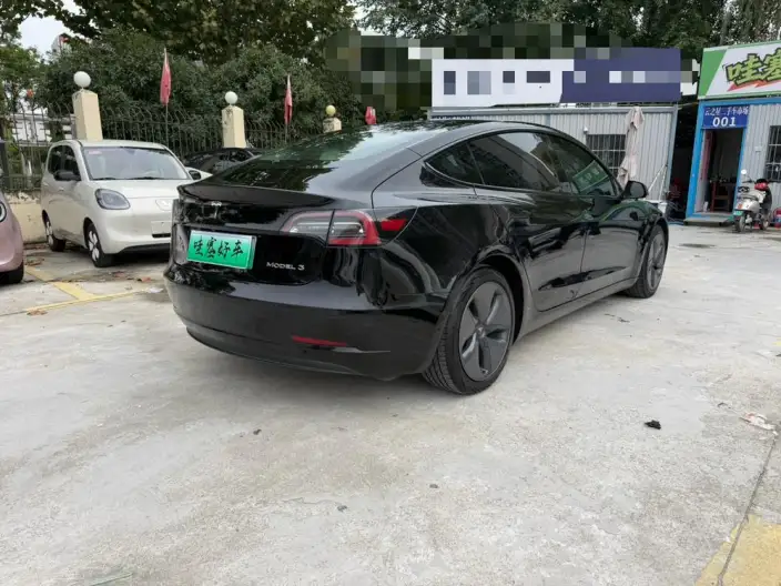 Model 3 2020 Model Facelift Standard Battery Life Rear Drive L Class Edition – фото 6
