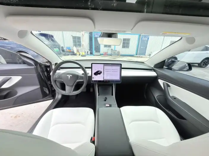 Model 3 2020 Model Facelift Standard Battery Life Rear Drive L Class Edition – фото 7