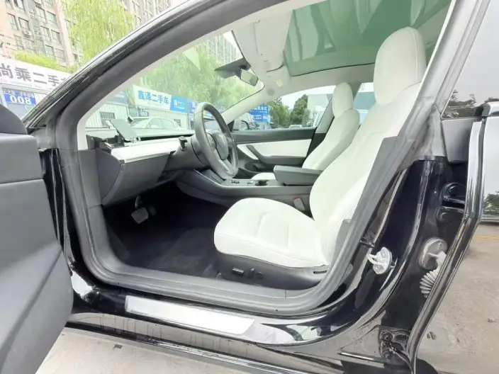 Model 3 2020 Model Facelift Standard Battery Life Rear Drive L Class Edition – фото 8