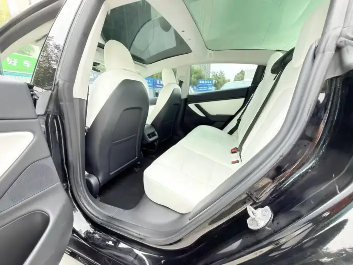 Model 3 2020 Model Facelift Standard Battery Life Rear Drive L Class Edition – фото 9