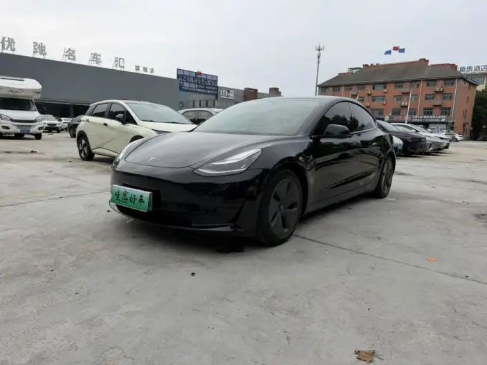 Model 3 2020 Model Facelift Standard Battery Life Rear Drive L Class Edition – фото 10