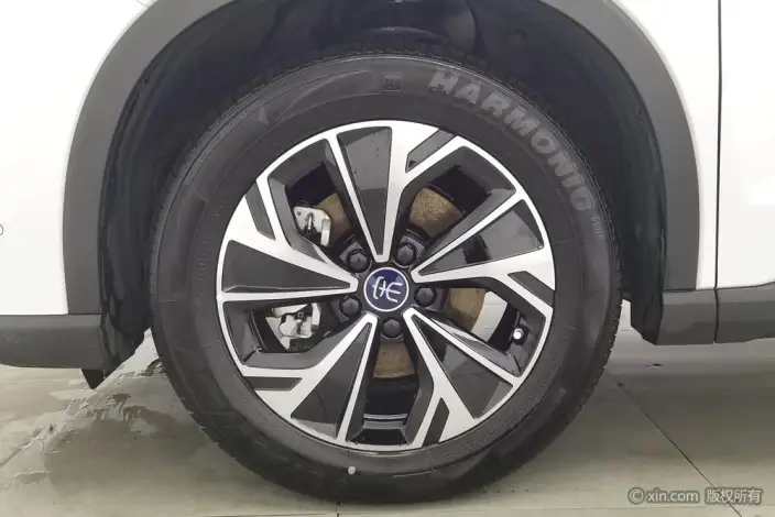 BYD Song Pro DM 2025 Model Second generation Smart Driving Edition DM-i 75KM Leading Model – фото 10