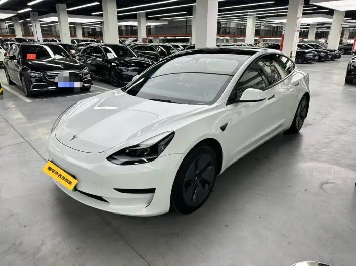 Model 3 2021 Model Standard Battery Life Rear Drive L Class Edition – фото 1