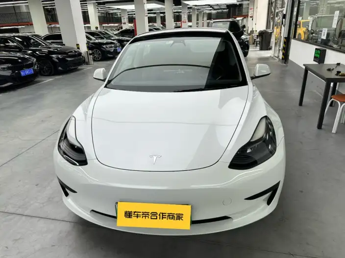 Model 3 2021 Model Standard Battery Life Rear Drive L Class Edition – фото 2