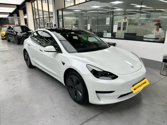 Model 3 2021 Model Standard Battery Life Rear Drive L Class Edition – фото 3