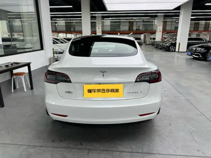Model 3 2021 Model Standard Battery Life Rear Drive L Class Edition – фото 4
