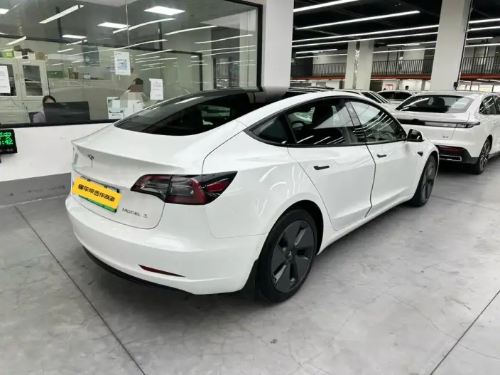 Model 3 2021 Model Standard Battery Life Rear Drive L Class Edition – фото 5