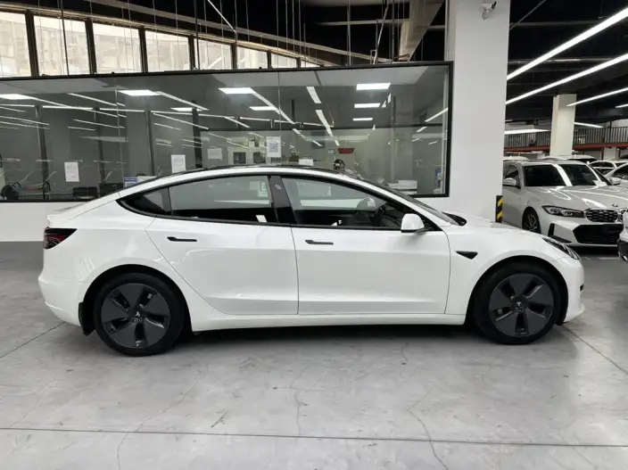 Model 3 2021 Model Standard Battery Life Rear Drive L Class Edition – фото 6