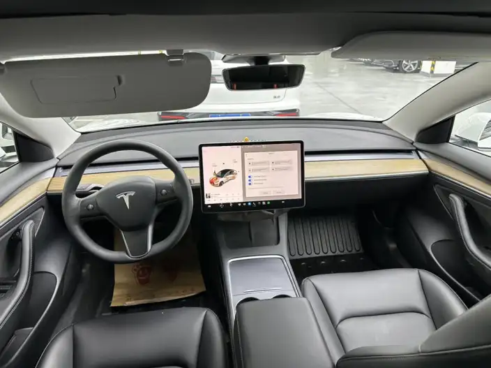 Model 3 2021 Model Standard Battery Life Rear Drive L Class Edition – фото 7