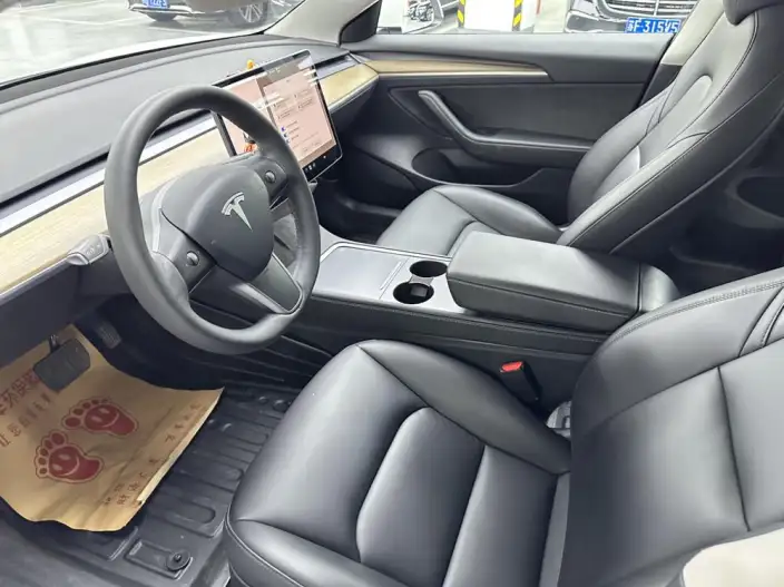 Model 3 2021 Model Standard Battery Life Rear Drive L Class Edition – фото 8