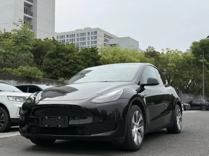 Model Y 2022 Model Facelift Rear-wheel drive version – фото 1