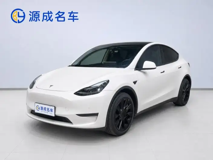 Model Y 2022 Model Long Battery Life Pro All-wheel drive version – фото 1