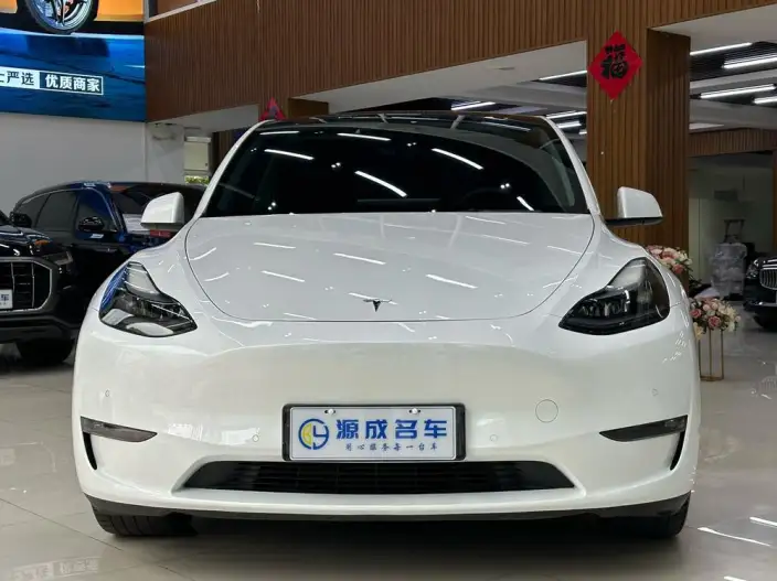 Model Y 2022 Model Long Battery Life Pro All-wheel drive version – фото 2