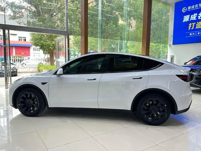 Model Y 2022 Model Long Battery Life Pro All-wheel drive version – фото 4