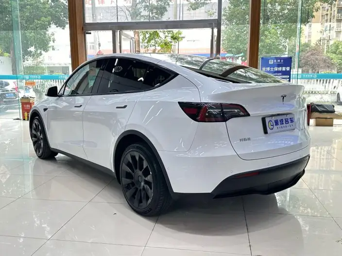 Model Y 2022 Model Long Battery Life Pro All-wheel drive version – фото 5