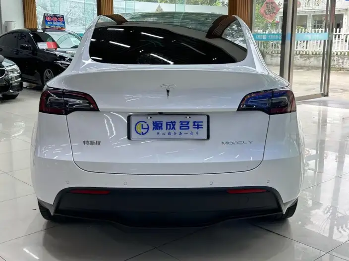 Model Y 2022 Model Long Battery Life Pro All-wheel drive version – фото 6