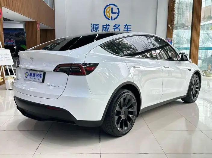 Model Y 2022 Model Long Battery Life Pro All-wheel drive version – фото 7
