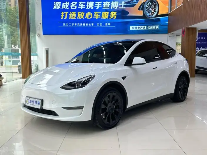 Model Y 2022 Model Long Battery Life Pro All-wheel drive version – фото 9