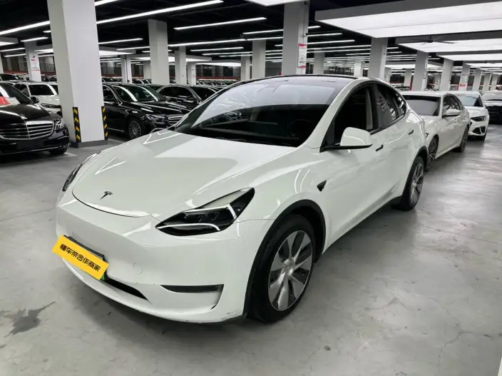 Model Y 2021 Model Long Battery Life Pro All-wheel drive version – фото 1
