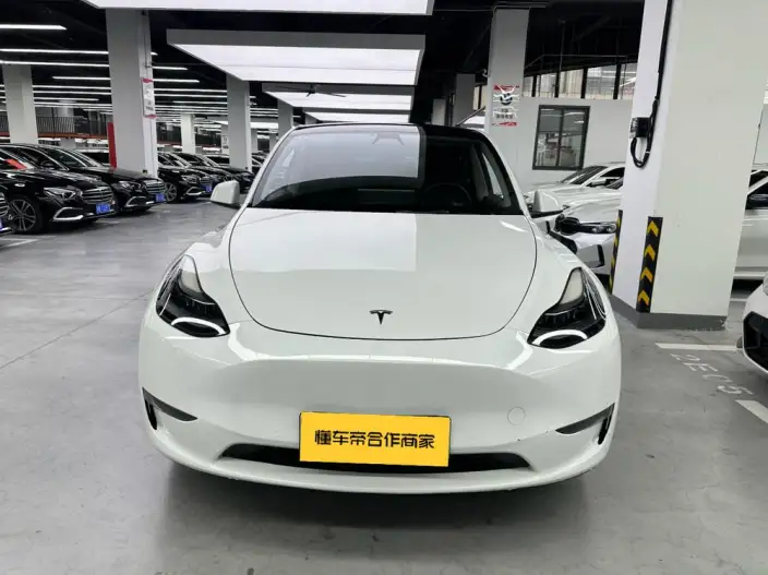 Model Y 2021 Model Long Battery Life Pro All-wheel drive version – фото 2