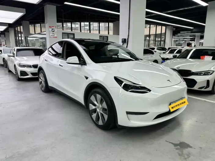 Model Y 2021 Model Long Battery Life Pro All-wheel drive version – фото 3