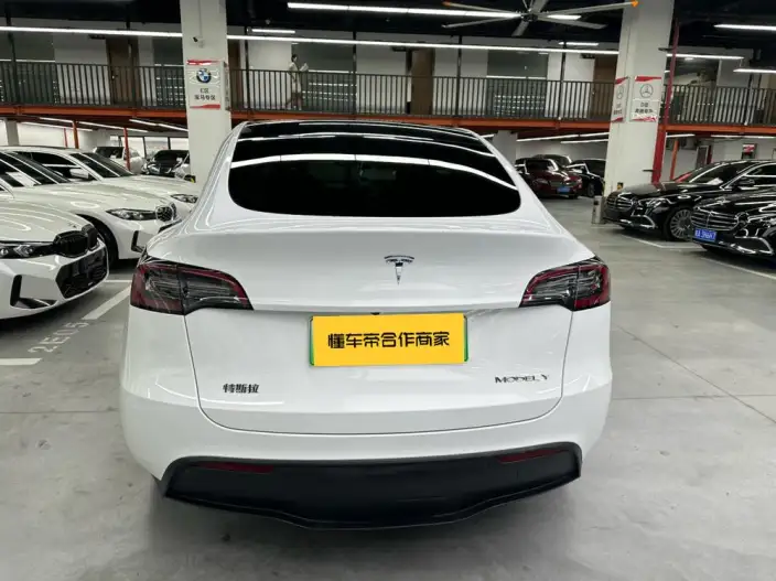 Model Y 2021 Model Long Battery Life Pro All-wheel drive version – фото 4