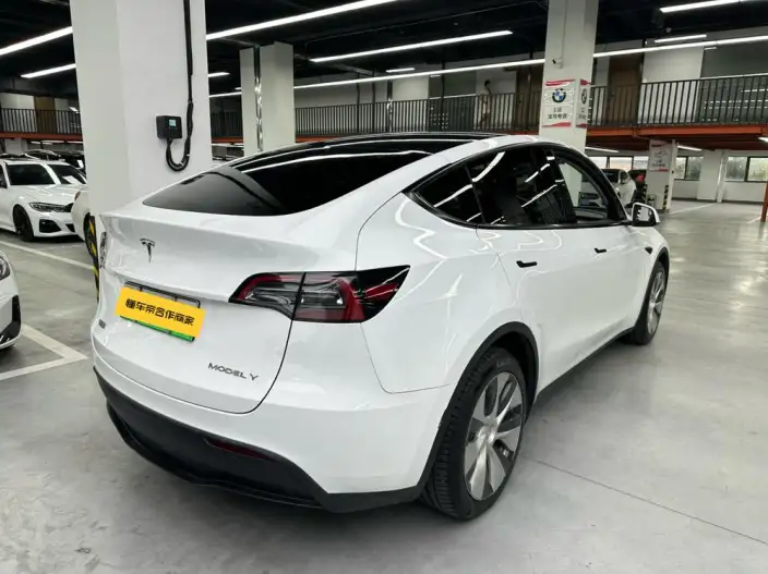 Model Y 2021 Model Long Battery Life Pro All-wheel drive version – фото 5
