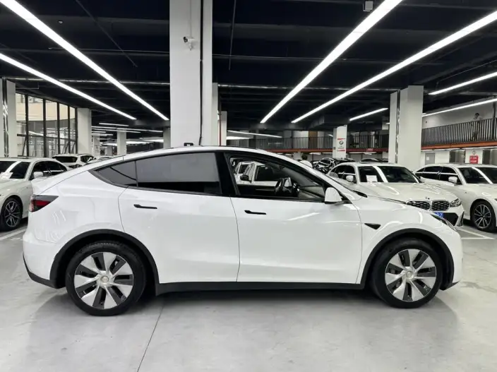 Model Y 2021 Model Long Battery Life Pro All-wheel drive version – фото 6