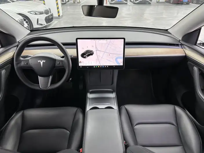 Model Y 2021 Model Long Battery Life Pro All-wheel drive version – фото 7