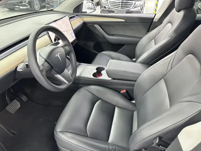 Model Y 2021 Model Long Battery Life Pro All-wheel drive version – фото 8