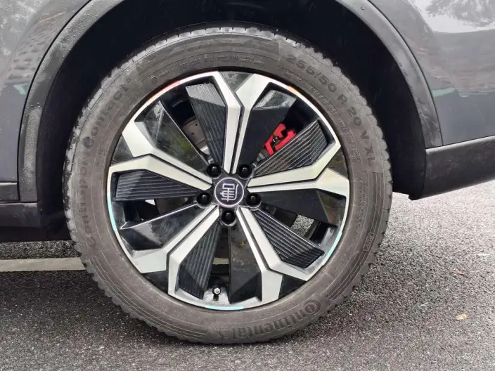 BYD Tang EV 2022 Model 730KM Exclusive Model – фото 7