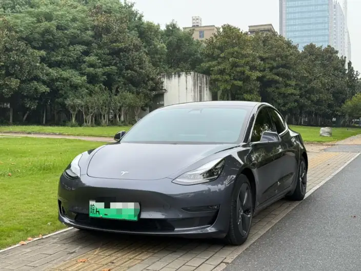 Model 3 2020 Model Facelift Long Battery Life Pro Rear-wheel drive version – фото 1