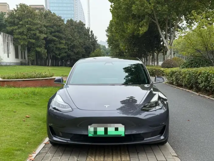 Model 3 2020 Model Facelift Long Battery Life Pro Rear-wheel drive version – фото 2