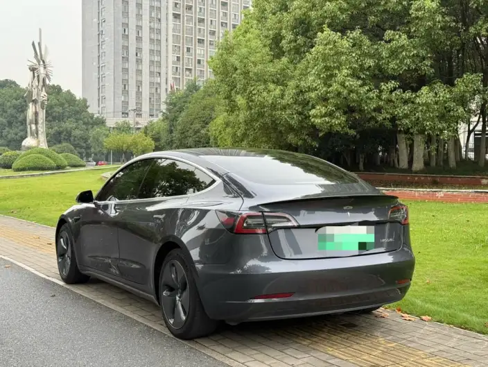Model 3 2020 Model Facelift Long Battery Life Pro Rear-wheel drive version – фото 4
