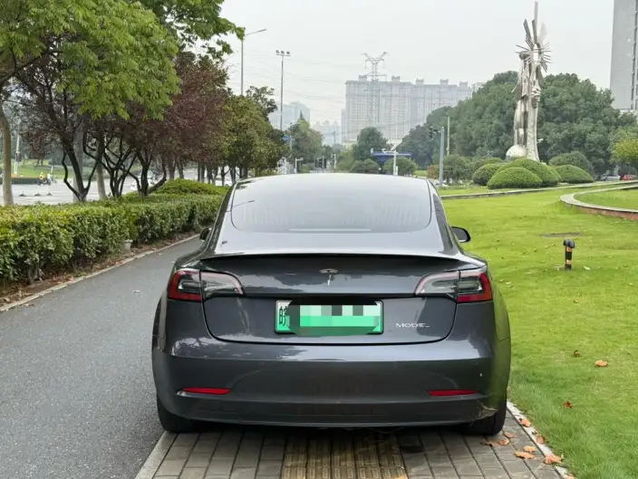 Model 3 2020 Model Facelift Long Battery Life Pro Rear-wheel drive version – фото 5
