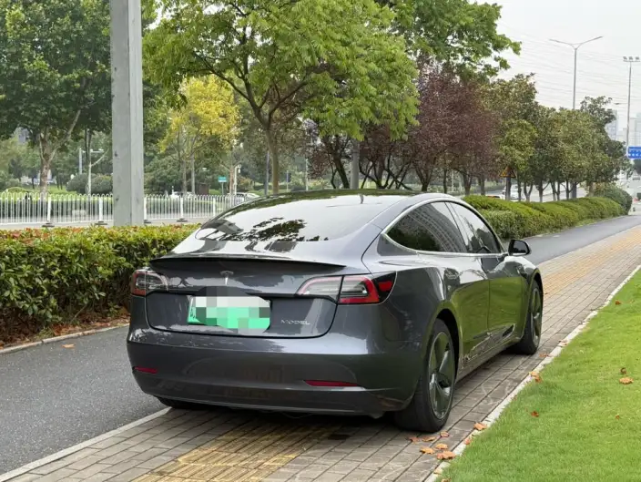 Model 3 2020 Model Facelift Long Battery Life Pro Rear-wheel drive version – фото 6