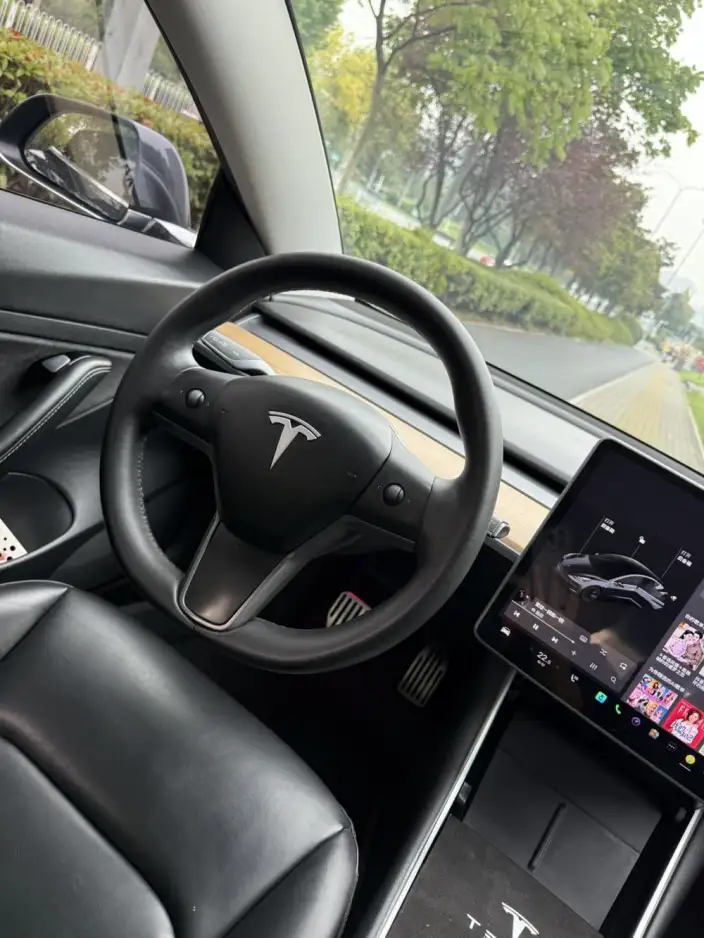 Model 3 2020 Model Facelift Long Battery Life Pro Rear-wheel drive version – фото 8