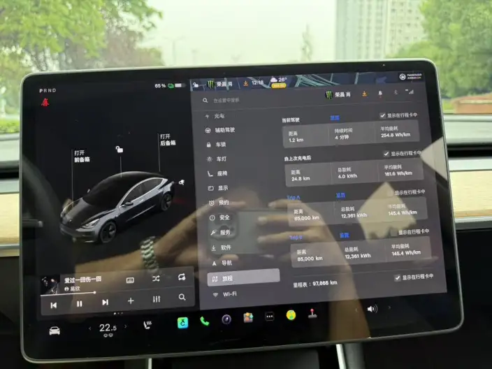 Model 3 2020 Model Facelift Long Battery Life Pro Rear-wheel drive version – фото 9