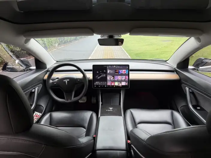 Model 3 2020 Model Facelift Long Battery Life Pro Rear-wheel drive version – фото 10