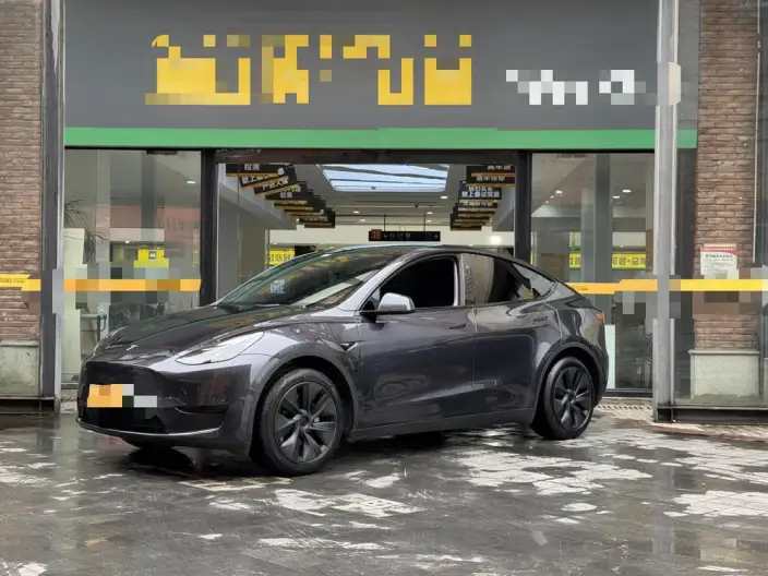 Model Y 2024 Model Rear-wheel drive version – фото 1